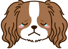 なぁこ